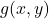 g(x,y)