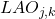 LAO_{j,k}