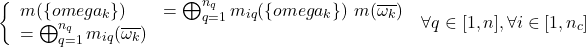 \begin{eqnarray*} \left\{ \begin{array}{ll} m(\{omega_k\})&=\bigoplus_{q=1}^{n_q}m_{iq}(\{omega_k\})\ m(\overline{\omega_k})&=\bigoplus_{q=1}^{n_q}m_{iq}(\overline{\omega_k}) \end{array} \right.\ \nonumber\forall q\in[1,n], \forall i\in[1,n_c] \end{eqnarray*}