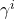 \gamma^i